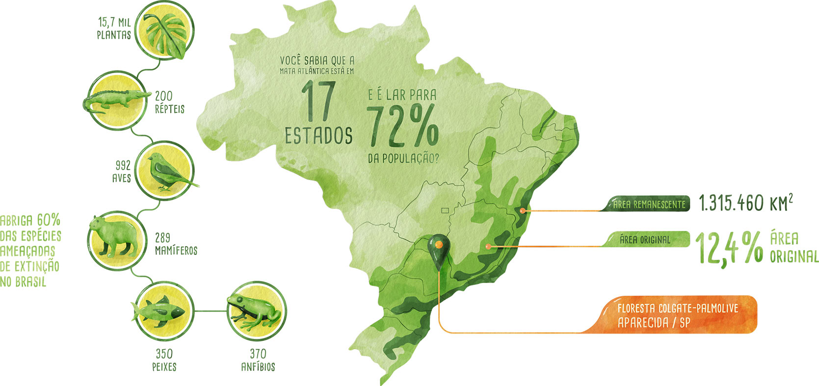 Mata Atlântica