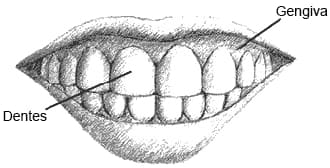 Dentes grandes