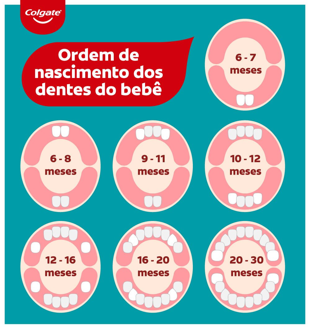 Infográfico sobre quando nasce o primeiro dente do bebê