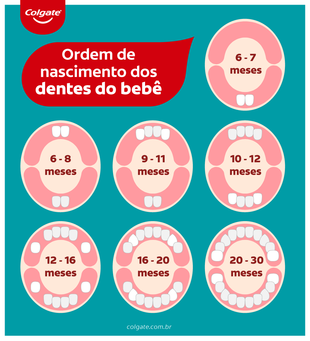 Infográfico sobre a ordem de nascimento dos dentes dos bebês