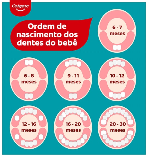  Infográfico sobre ordem de nascimento dos dentes do bebê
